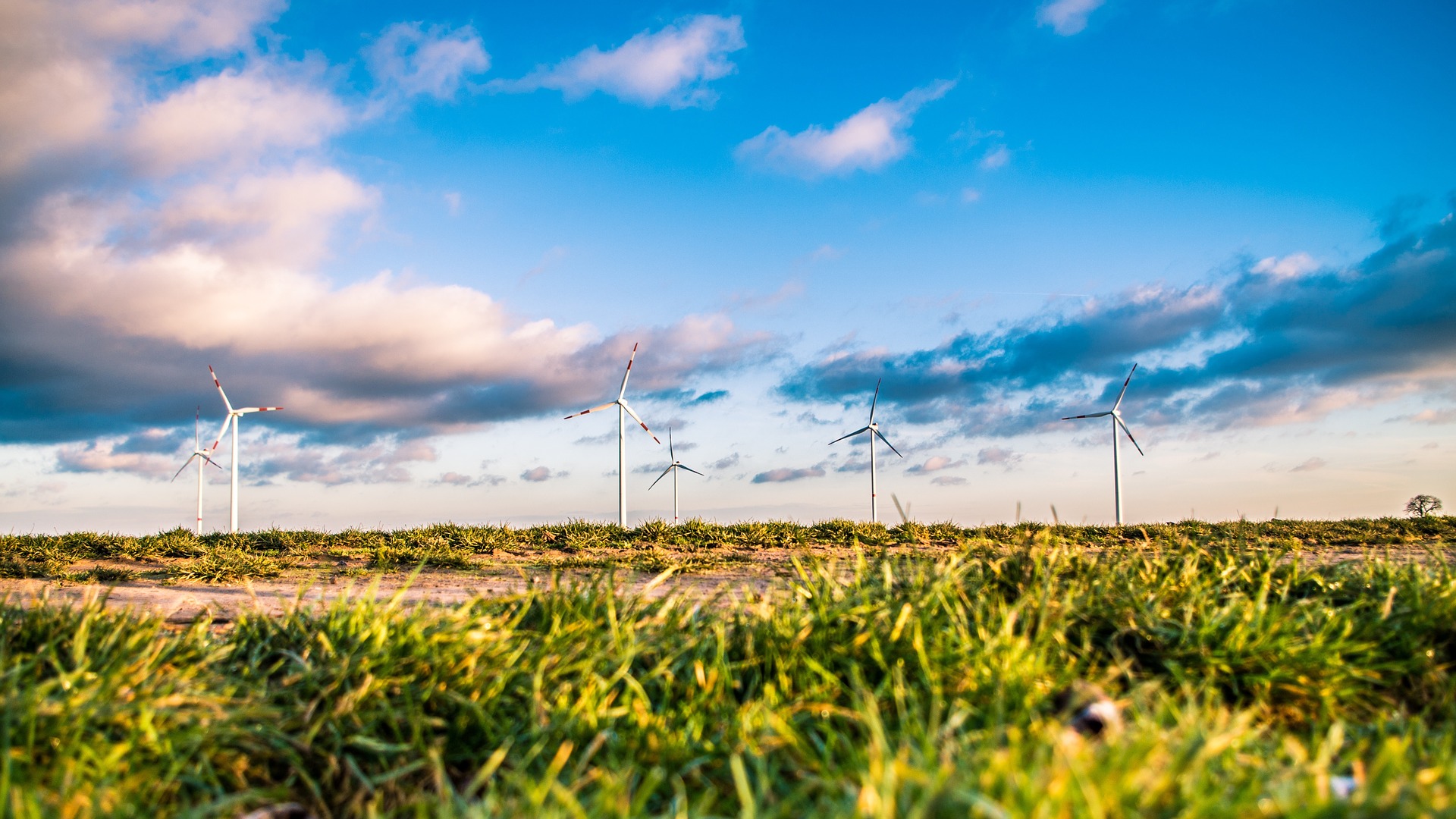 MEMBER NEWS: Vattenfall to build UK’s largest onshore wind farm in Scotland