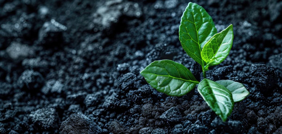 MEMBER NEWS: PD&MS – Synergie Environ appointed as System Designer for A Healthier Earth’s UK-leading biochar project